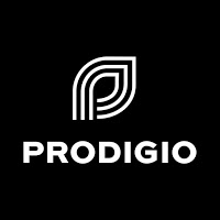 Prodigio Design Limited 662723 Image 0